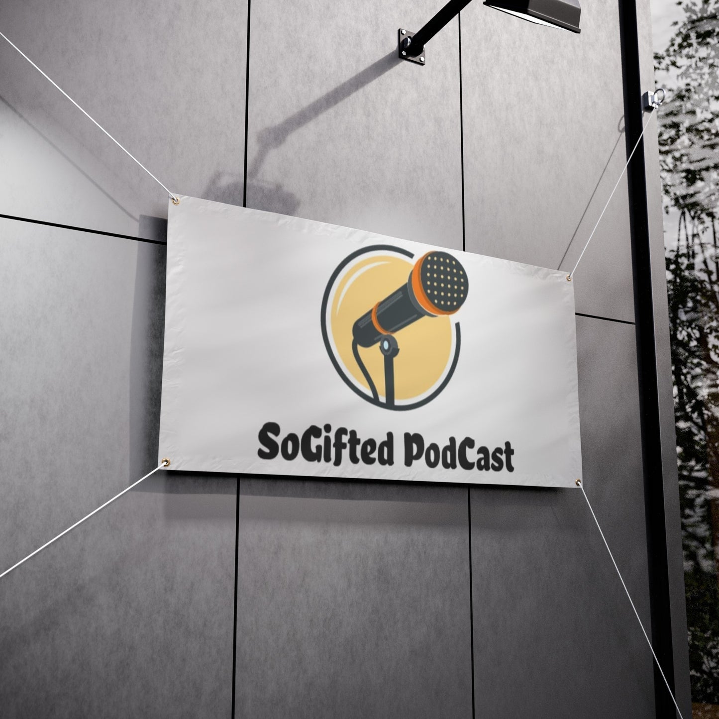 Vinyl Banners